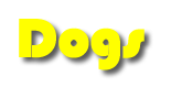 Dogs