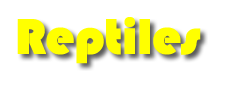 Reptiles